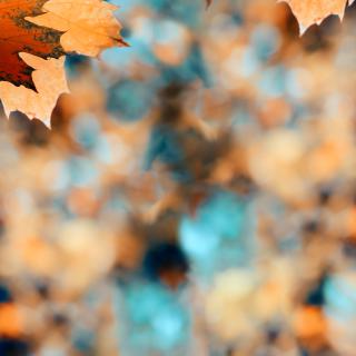 Vítejte na nových stránkách školy